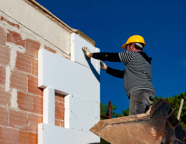 Best Best Insulation Companies  in Weldon, NC