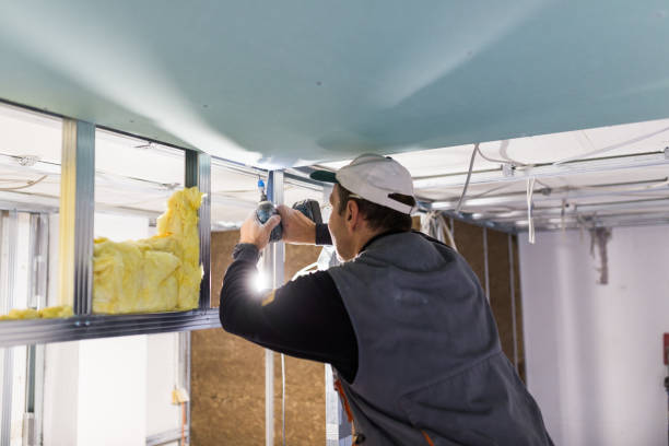 Best Insulation for New Construction  in Weldon, NC