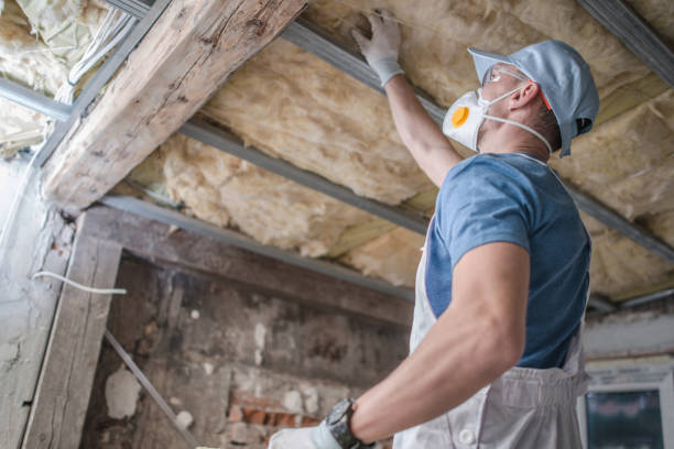 Best Cellulose Insulation  in Weldon, NC