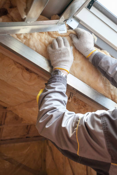 Best Wall Insulation Contractor  in Weldon, NC