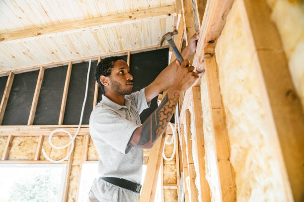 Best Attic Insulation Installation  in Weldon, NC
