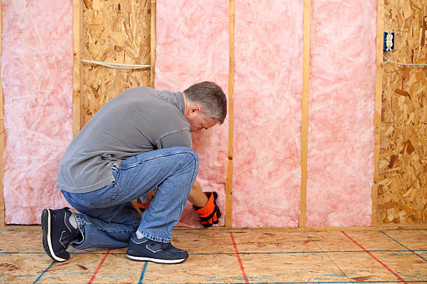 Best Residential Insulation Services  in Weldon, NC