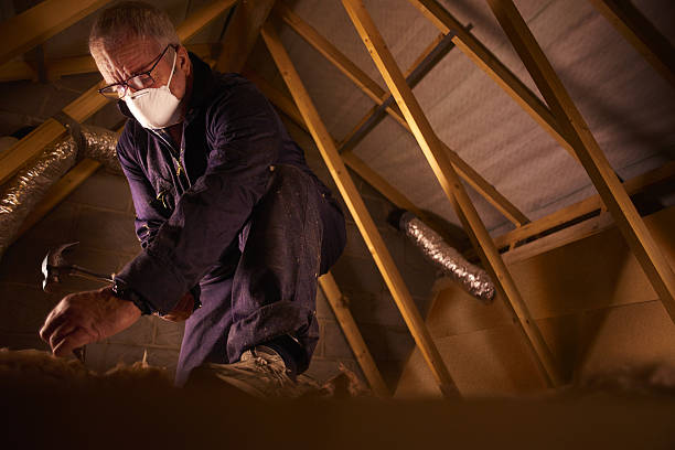 Best Fiberglass Insulation  in Weldon, NC